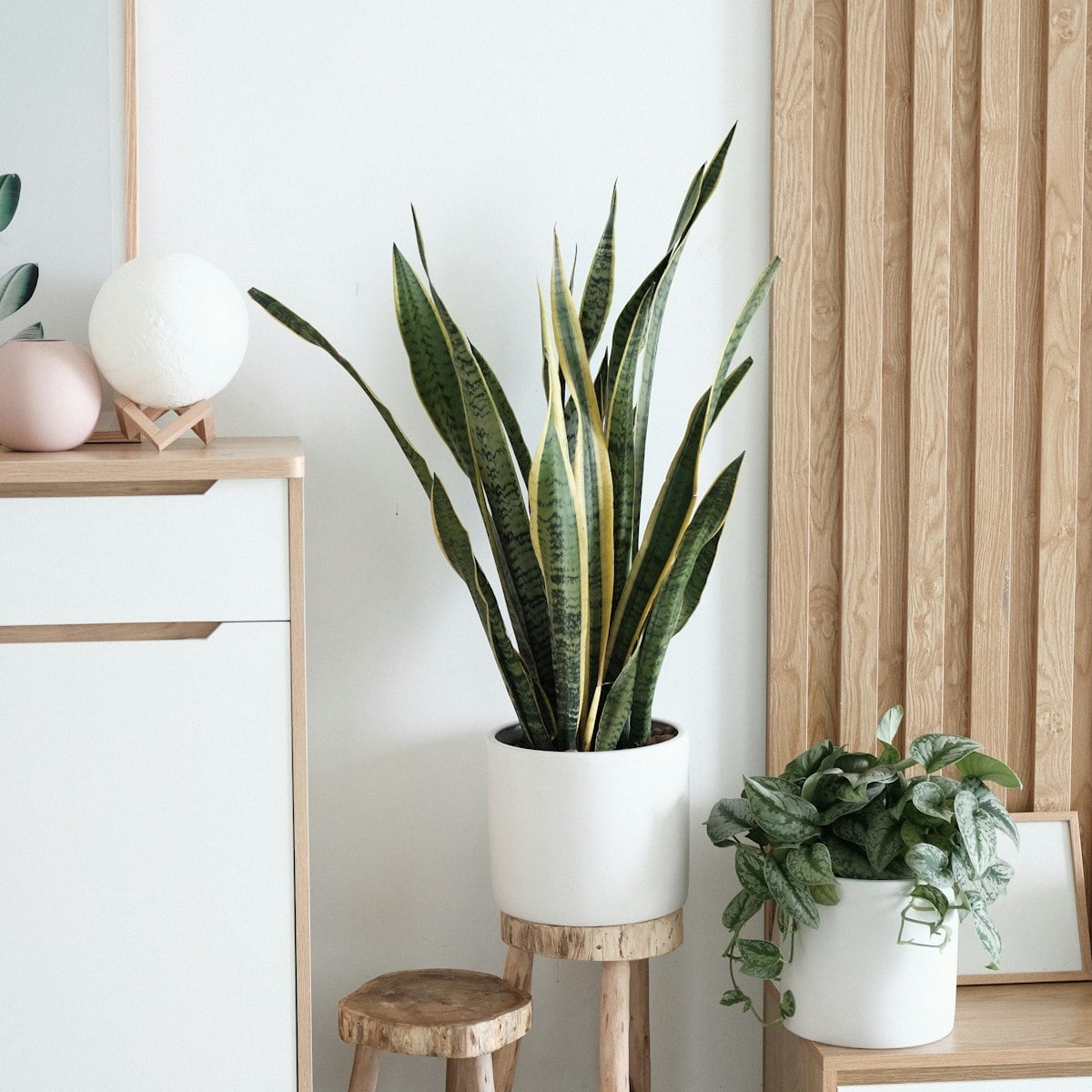 Aparador buffet branco de duas portas com vasos de plantas ao lado, junto à parede ripada